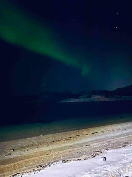 Holiday Home With Sauna In The Arctic Caribbean, Tromso Ngoại thất bức ảnh